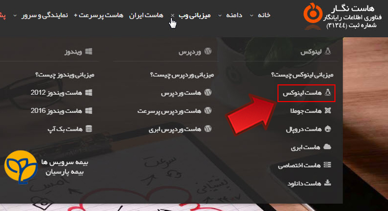 آموزش خرید هاست و دامین