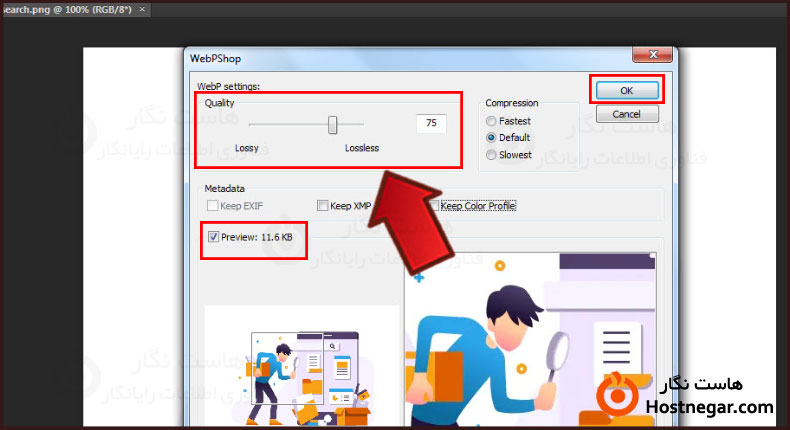 WebP چیست؟ نحوه تبدیل تصاویر به WebP در وردپرس